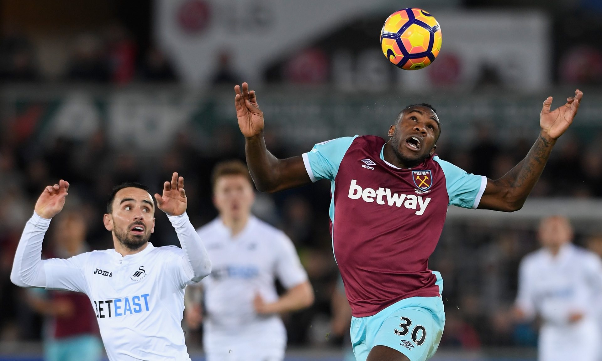 展现了出色 展现了出色